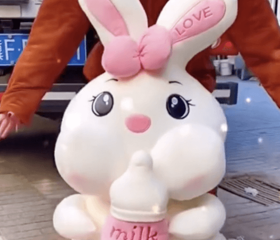 tiktok mp4 no watermark